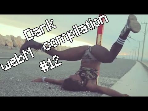 YLYL 4chan dank WebM compilation #12