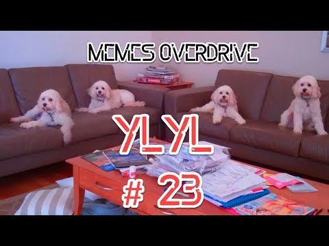 YLYL and meme Compilation #23 from YouTube, Reddit, 4chan memes webms 2017